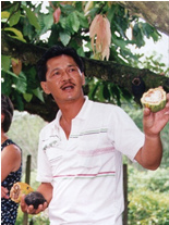 Cacoa