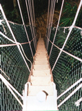 The steep stairway to the end.