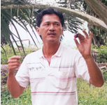 Palm seed